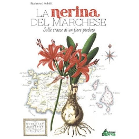 Francesco Soletti - La Nerina Del Marchese. Sulle Tracce Di Un Fiore Perduto - Foto 1