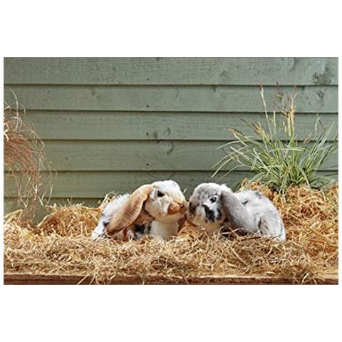 Disegni Assortiti Di Peluche Di Coniglio Dalle Orecchie Pendenti Olandesi - Foto 1