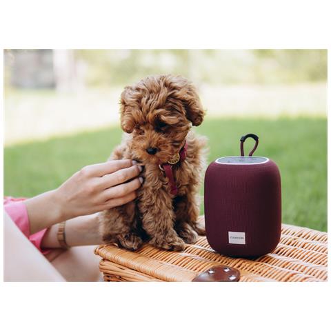 BSP-8 Altoparlante portatile mono Borgogna 10 W - Foto 13