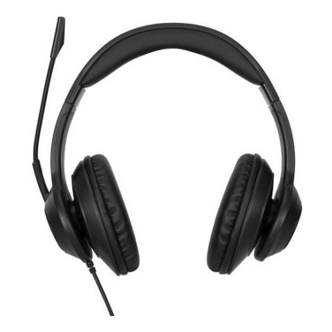 AEH102GL Cuffia e Auricolare Cablato a Padiglione Musica e Chiamate USB tipo A Nero - Foto 1