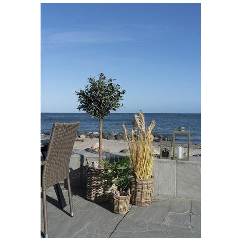 Set Di 3 Cesti Sema In Rattan Kubu Naturale Con Manici - Misure Assortite - Foto 2