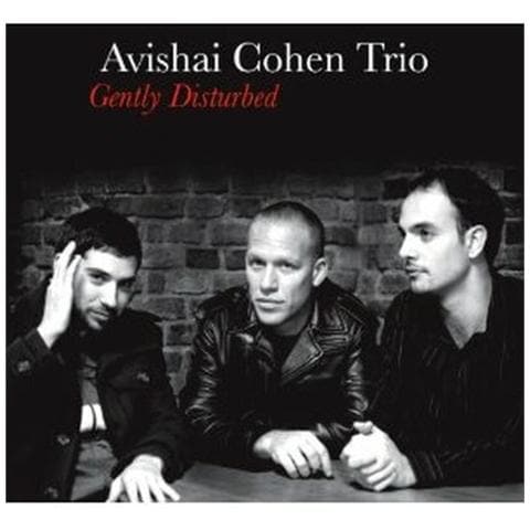 Avishai Cohen - Gently Disturbed - Foto 1