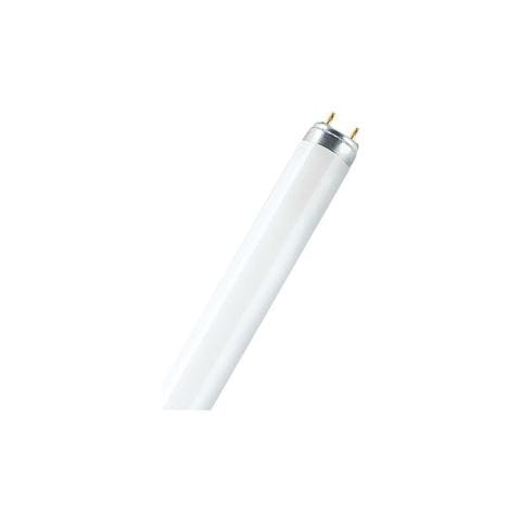 L 30 W / 865, T8, G13, Bianco, A, Illuminazione fredda - Foto 1