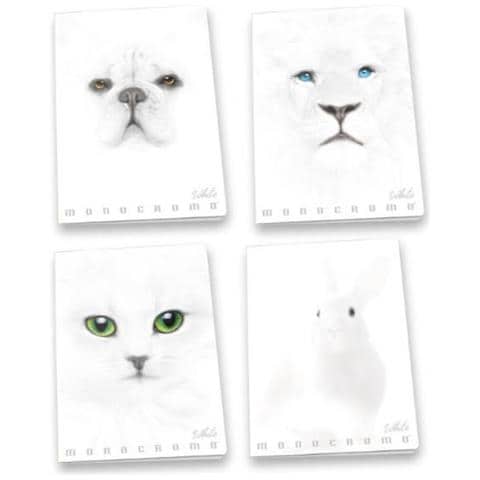 Cf10 Maximonocromo White 4m A4 100g - Foto 1