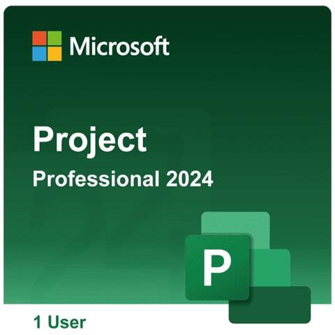 Project Professional 2024 - Foto 1
