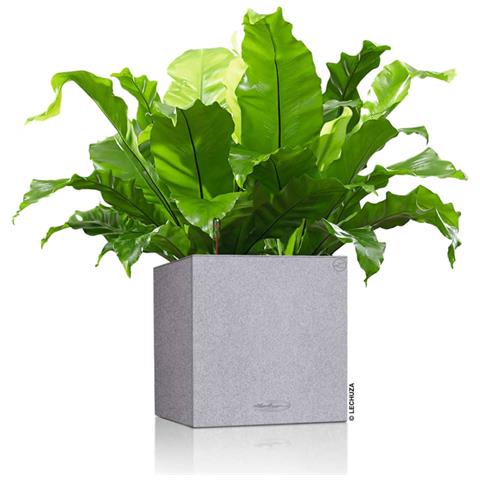 CANTO Interno /esterno Fioriera Libera installazione Plastica Grigio - Foto 10