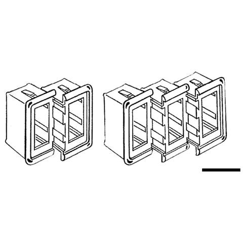 Cornice per 1 interruttore - Foto 1