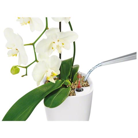 Fioriera DELTINI ALL-IN-ONE Bianco Lucido - Foto 2