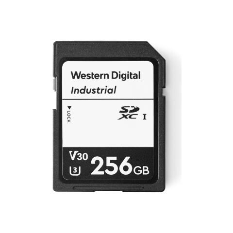 SD-256G 256 GB UHS-I Classe 10 - Foto 1