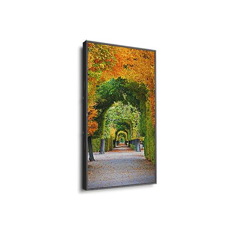 Multisync X554hb - Foto 7