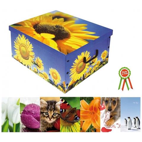 Baule Cart. 50x40x25h Col. Assti - Foto 2
