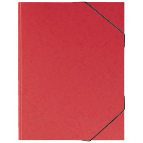 Fact!plus Cartone Rosso A3 - Foto 1