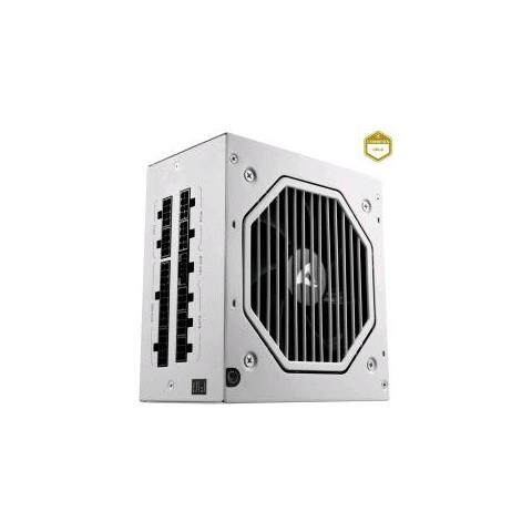 Rebel P20 Alimentatore 750 W Cybenetics Gold Fully-modular Atx 3.1 Bianco - Foto 1
