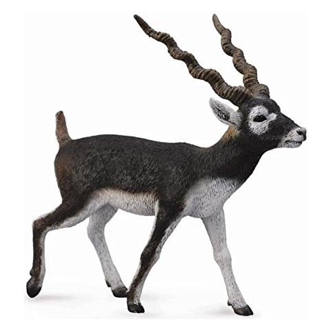 Wildlife Blackbuck Toy Figure Autentico Modello Dipinto A Mano - Foto 1