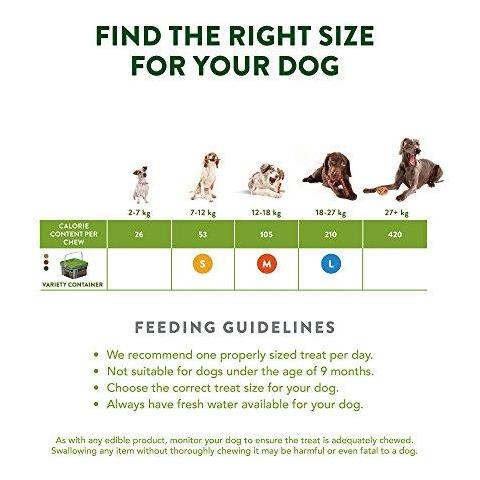 Naturale Dentale Del Cane Mastica Di Lunga Durata Variety Box Figure Miste Di Grandi Dimensioni 14 Pezzi - Foto 4