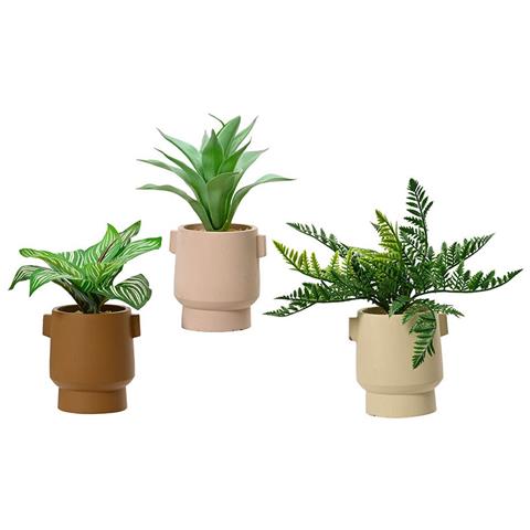 Pianta Decorativa 808559 Vaso 25 Cm - Foto 1