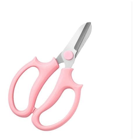Forbici Da Fiori Professionali: Cesoie Per Fioristi In Acciaio Inossidabile Pink - Foto 2