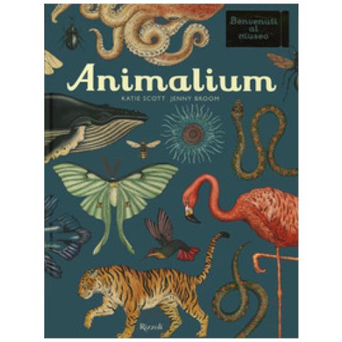 Katie Scott - Animalium. Il grande museo degli animali - Foto 1