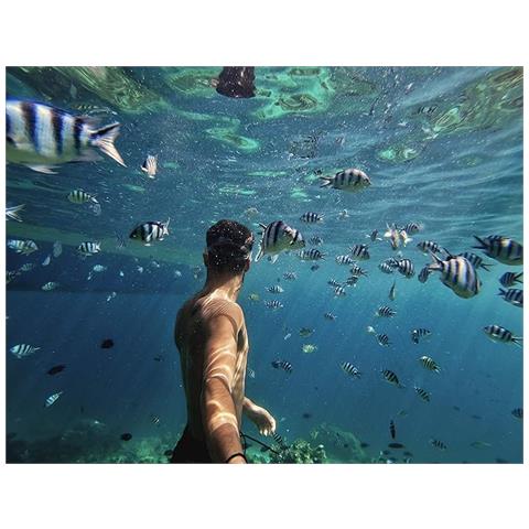 Impugnatura Galleggiante Floating Handler AFHGM-003 - Foto 6