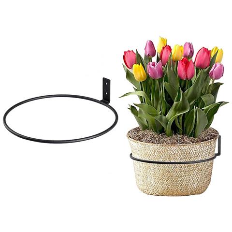 Portavaso Da Muro, Portapiante S - Foto 1