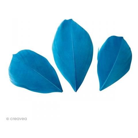 50 Piume - Turchese - Foto 1