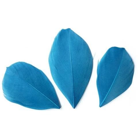 50 Piume - Turchese - Foto 3