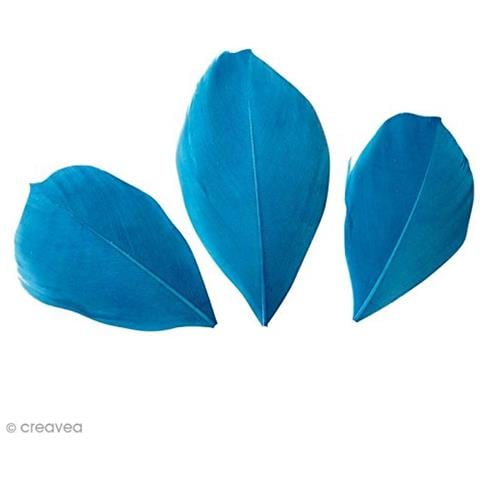 50 Piume - Turchese - Foto 2