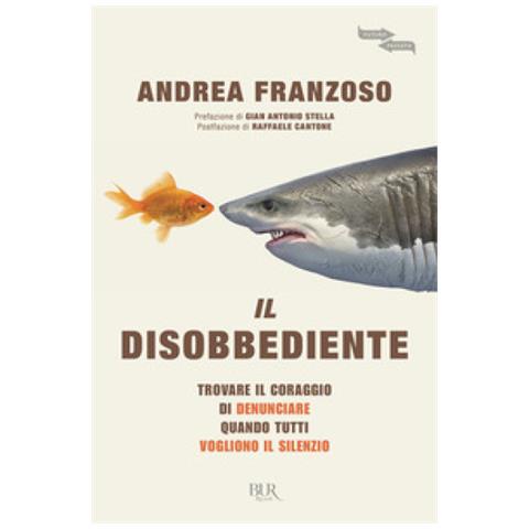 Andrea Franzoso - Il Disobbediente - Foto 2