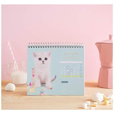 Erik - Studio Animali Gatti 2021 Desk Calendar - Desktop Calendar 2021 Cs21012 - Foto 2