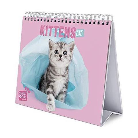 Erik - Studio Animali Gatti 2021 Desk Calendar - Desktop Calendar 2021 Cs21012 - Foto 1