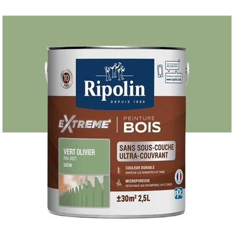 Pittura Per Legno Per Interni Ed Esterni - Verde Oliva Ral 6021 Satinato, 2,5l - Foto 1