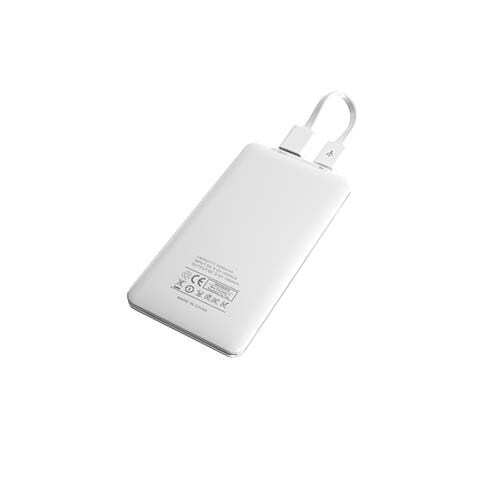 Batteria Portatile PW-4200 Colore Bianco - Foto 2