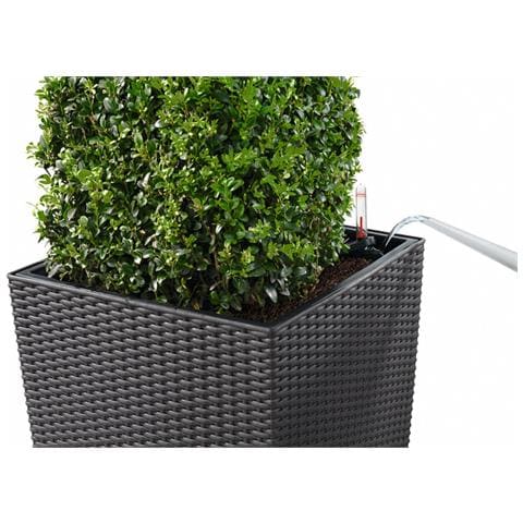 CUBE Cottage 40 All-in-One Set Interno /esterno Vaso a cubo Libera installazione Polipropilene (PP) Bianco - Foto 10