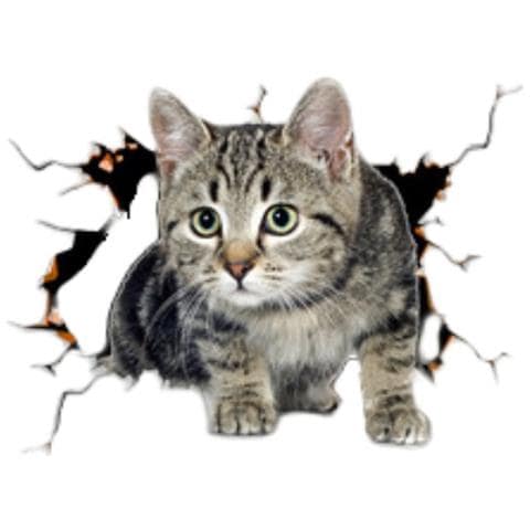 Adesivi Auto 3d Gatto Fiore Creativo - Set Da 2, Grandi Dimensioni - Foto 1