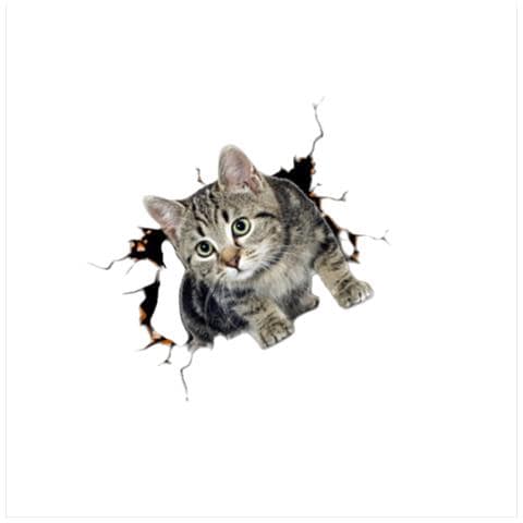 Adesivi Auto 3d Gatto Fiore Creativo - Set Da 2, Grandi Dimensioni - Foto 2