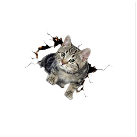 Adesivi Auto 3d Gatto Fiore Creativo - Set Da 2, Grandi Dimensioni - Foto 3