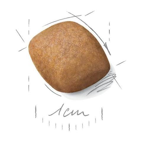 Pomeranian Adult 1,5 kg Adulto - Foto 4