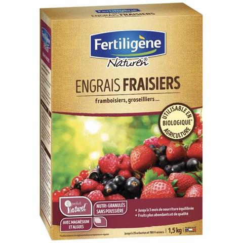 Fertilizzanti Alla Fragola - 1,5 Kg - Foto 1