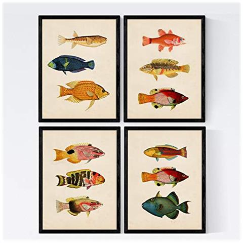 Set Di 4 Stampe Set 4 Di Pesce Effetto Colorati Celtico Composizione Di 12 Pesci Diversi In Sfondo Vecchia Carta Per Manifesti Senza Cornice A4 - Foto 1