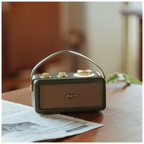 RA-101 Portatile Analogico Oro, Verde - Foto 8