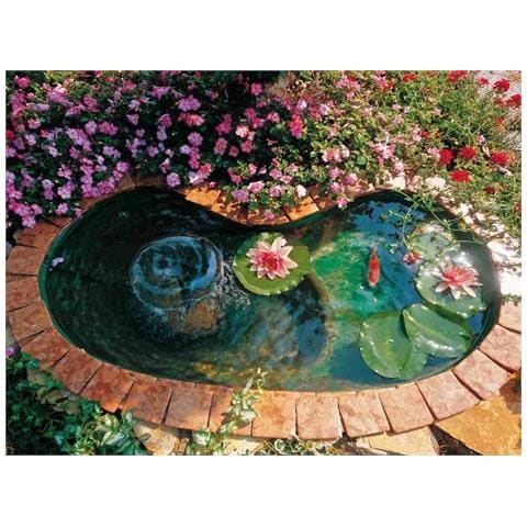 Laghetto Polinesia - Foto 1