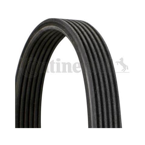 Accessorio Strap 6dpk1195 - Foto 1