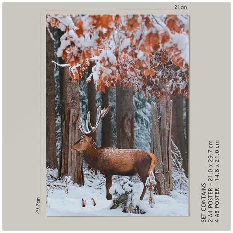 Set Di 6 Stampe Stampe Artistiche Da Parete Con Motivi Estetici Di Laghi Ghiacciati Per La Camera Da Letto O Il Soggiorno A3 & A4 Senza Cornice - Foto 6