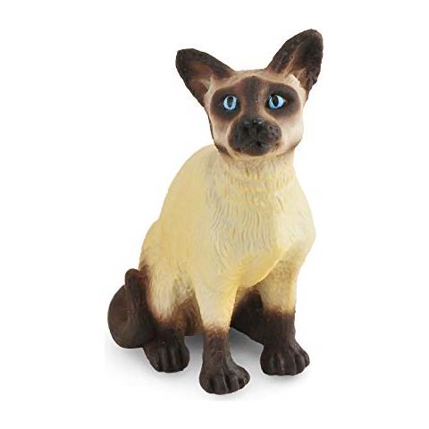 Gatto Siamese Raccolto (seduto) - Foto 1