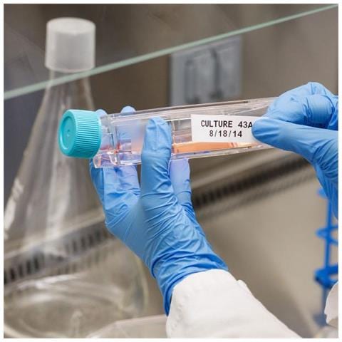 M21-375-7425 nastro per etichettatrice Bianco - Foto 2