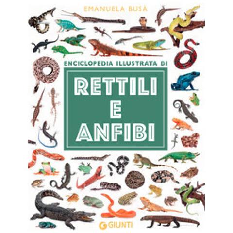 Emanuela Busà - Enciclopedia illustrata di rettili e anfibi. Ediz. a colori - Foto 1