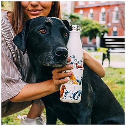 Di Chilly Water Bottle Acciaio Inossidabile E Riutilizzabili A Tenuta Stagna Sudore Libero Tutto Nero 260ml - Foto 2