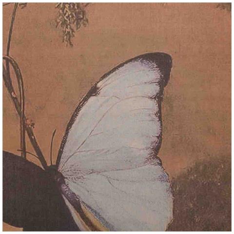 Tela Di Lino Stampata In Pergamena - Foto 4