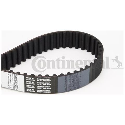 Distribuzione Cintura Ct1026 - Foto 1