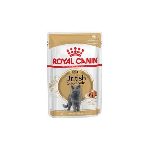British Shorthair Buste Royal Canin 12x85 Gr - Foto 1
